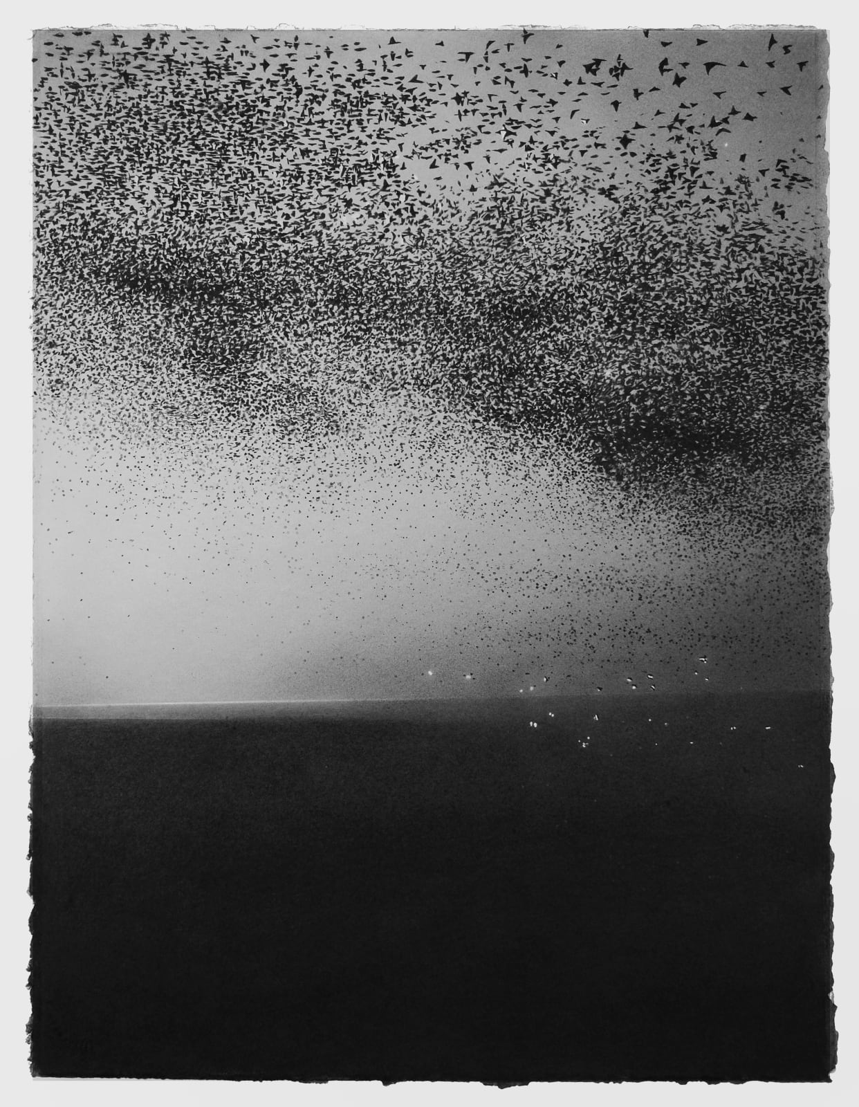 Harry McAlpine, Drawing from multitudes II, 2024