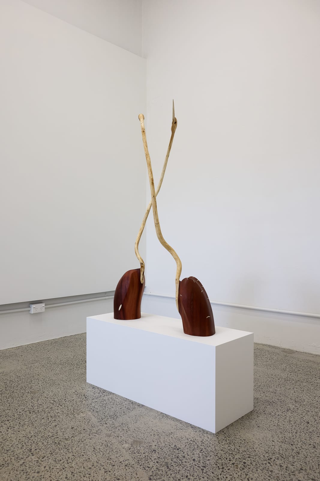 John Ward Knox, Kōtuku i + ii, 2024