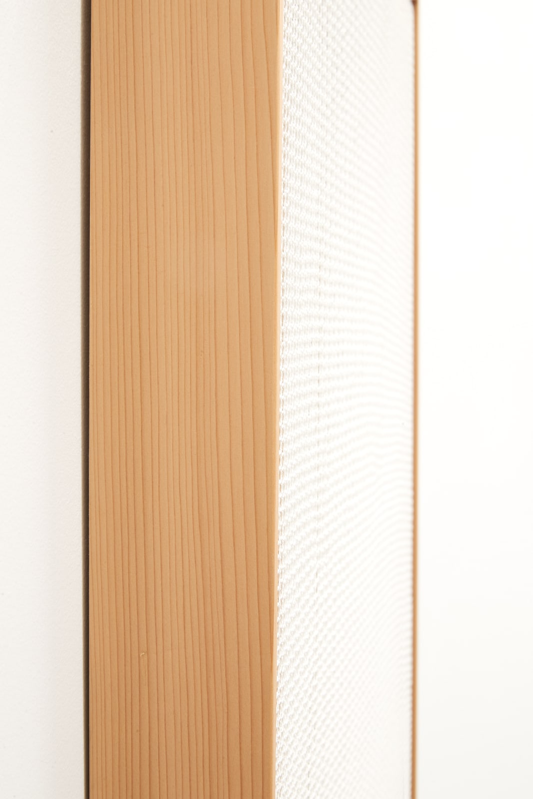 Rachel Hope Peary, Trellis, 2022