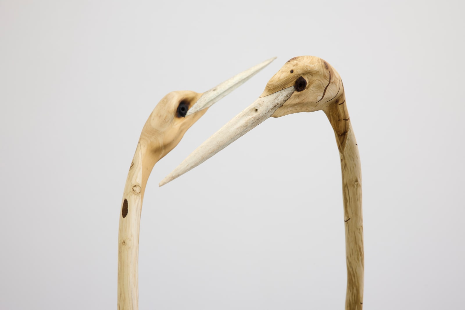 John Ward Knox, Kōtuku i + ii, 2024