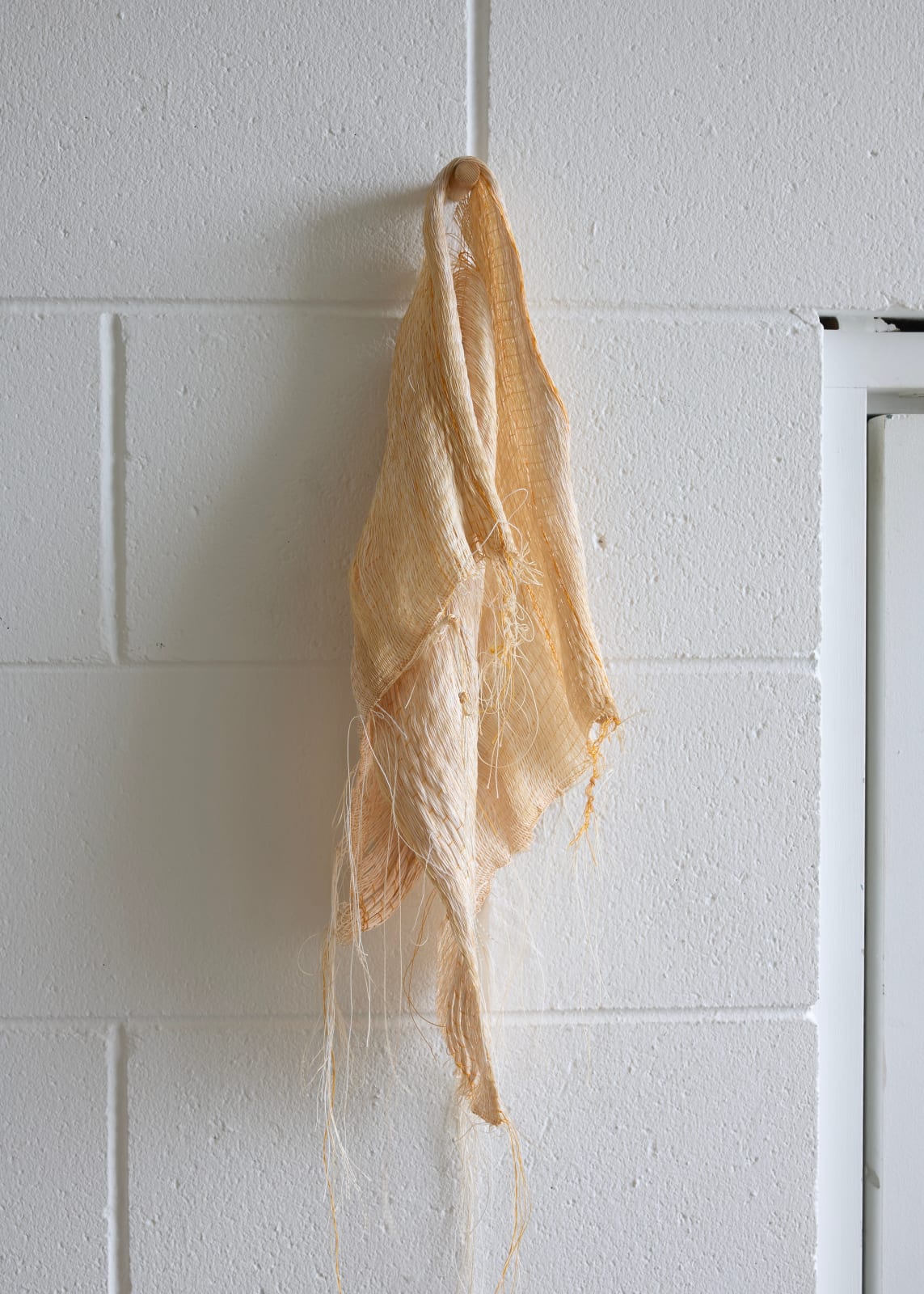 Rachel Hope Peary, Nothing but a something, 2024