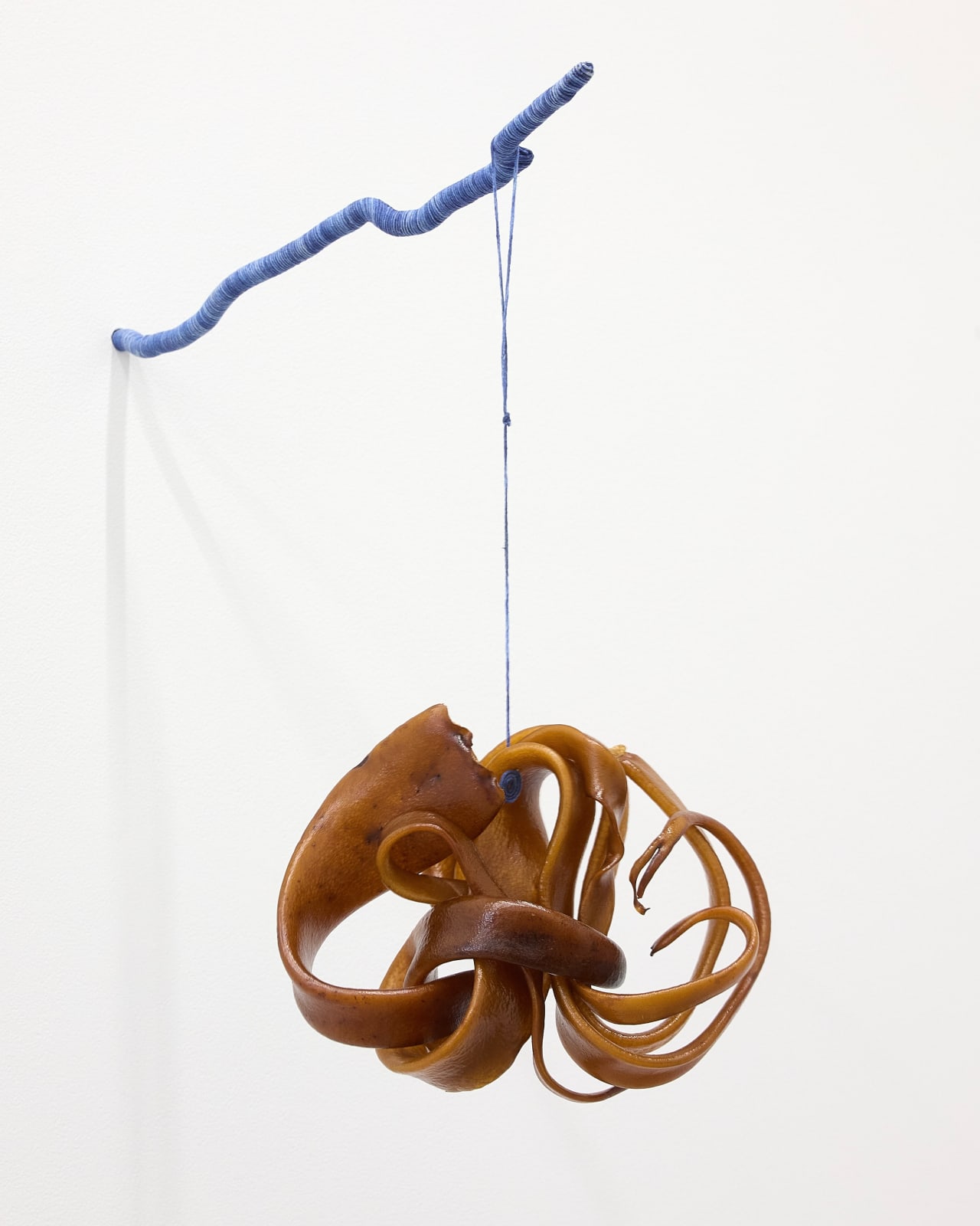 Heidi Brickell, Maiangi as whisper, 2025