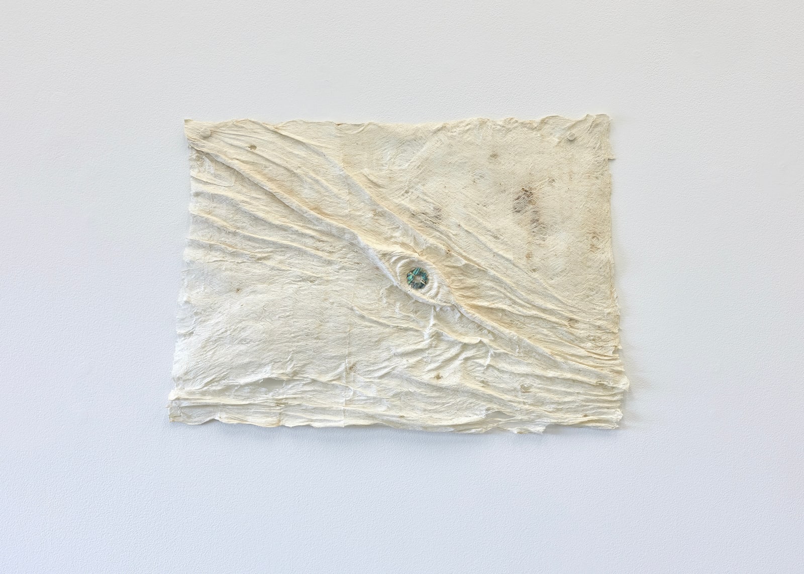 Atarangi Anderson, Mata (mā, mauī), 2025