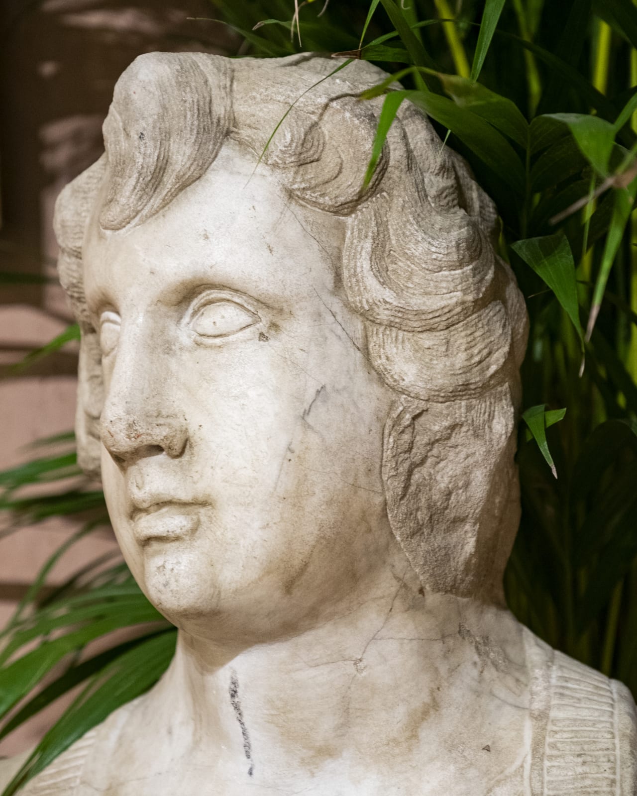 Marble Bust,
