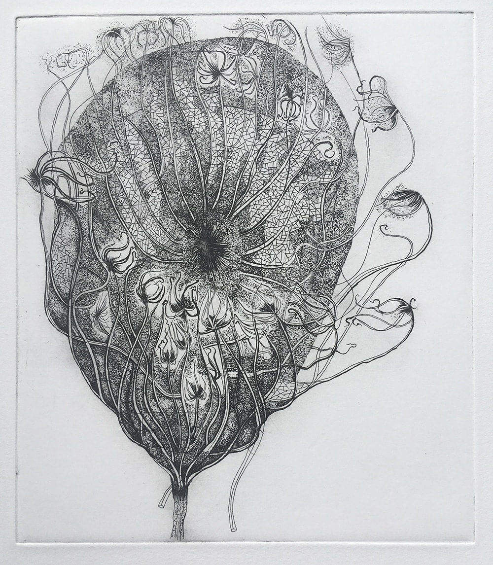 Paul Atkins, Wild Seed Head, 1993