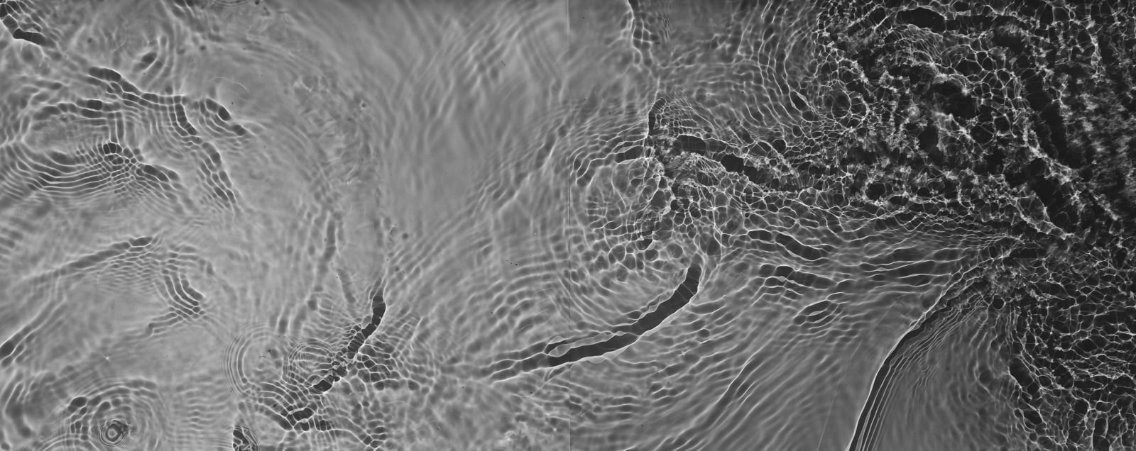 Kate Beaugié, Swan Song, 2019