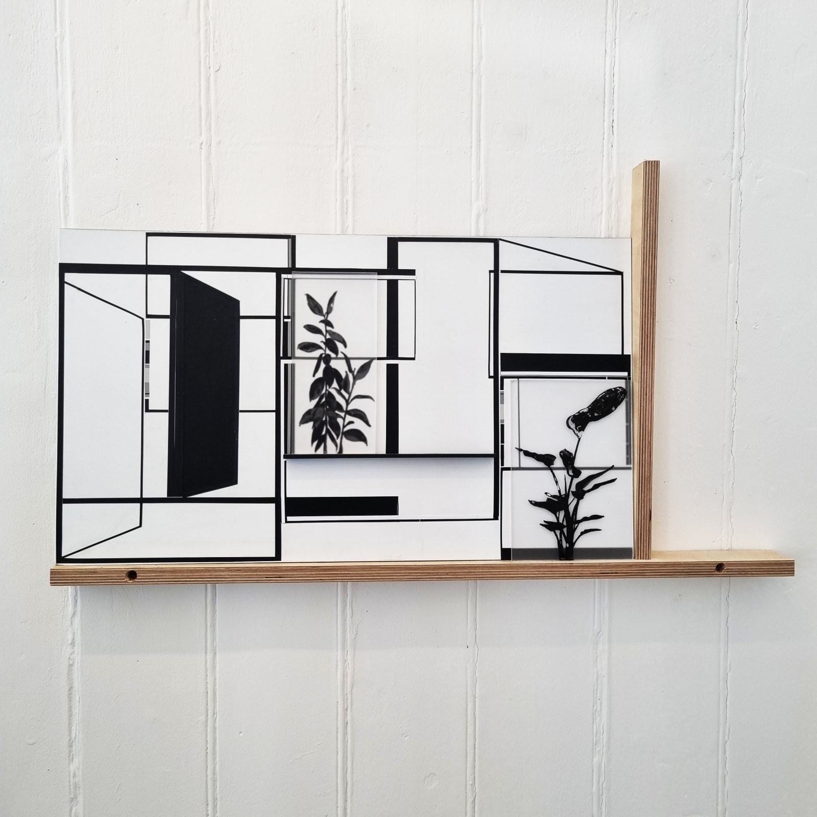Justin Hibbs, Multiple division on small shelf, 2014-2022