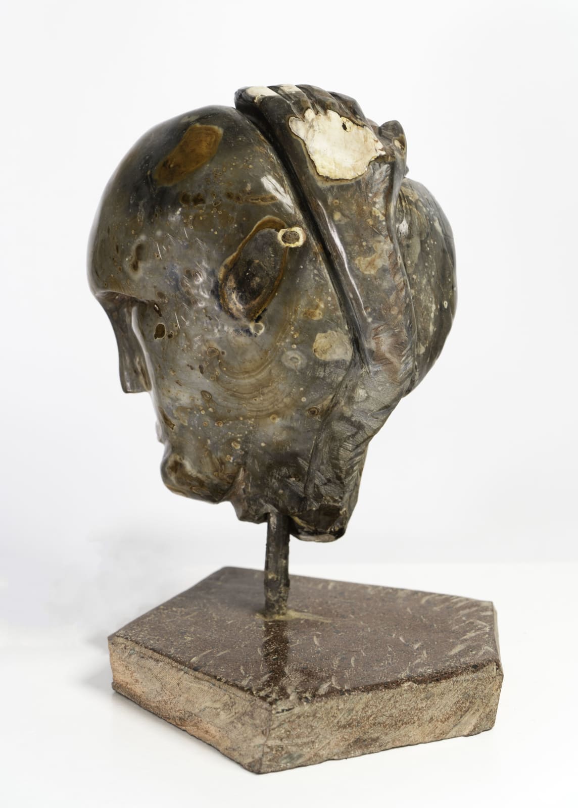 Drew Edwards, Cosmos, 2021