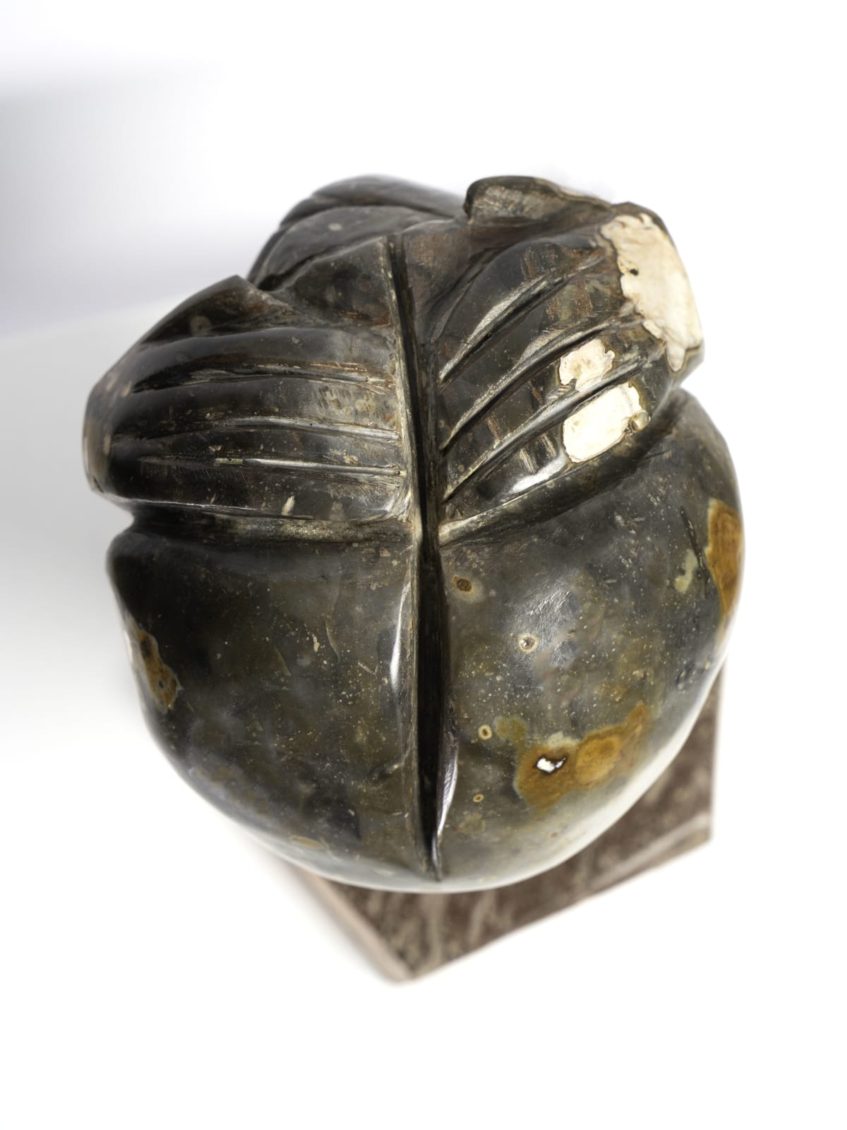 Drew Edwards, Cosmos, 2021