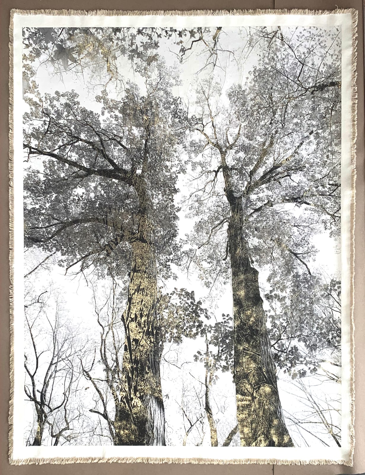 Van Cortlandt Oaks, 2022