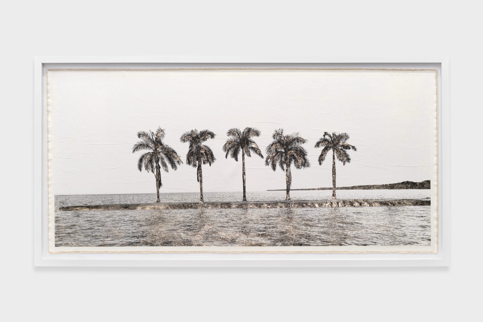 Bill Claps, Palm Island, 2024