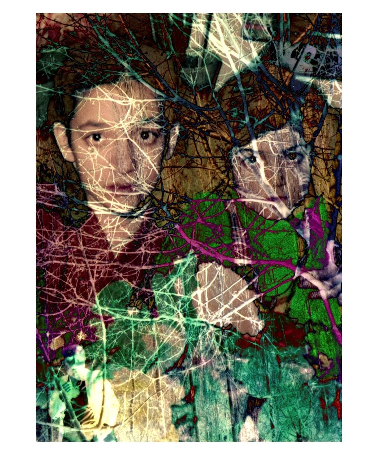 Setareh Shahbazi, Spectral Days #41, 2013