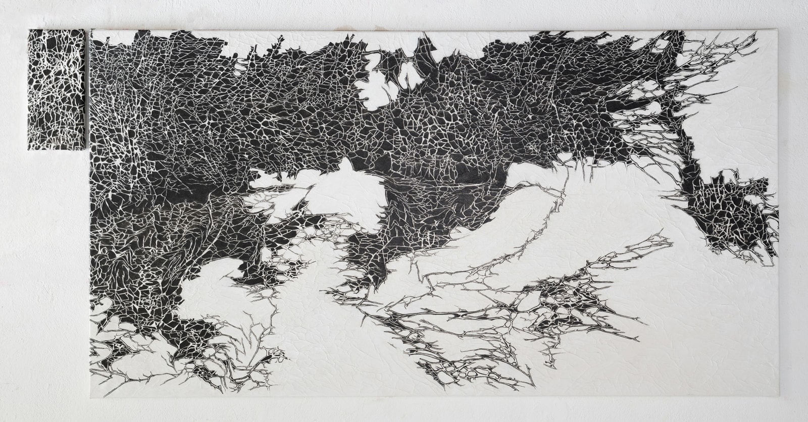 Nadia Kaabi-Linke, Spic and Span in June and July, 2017