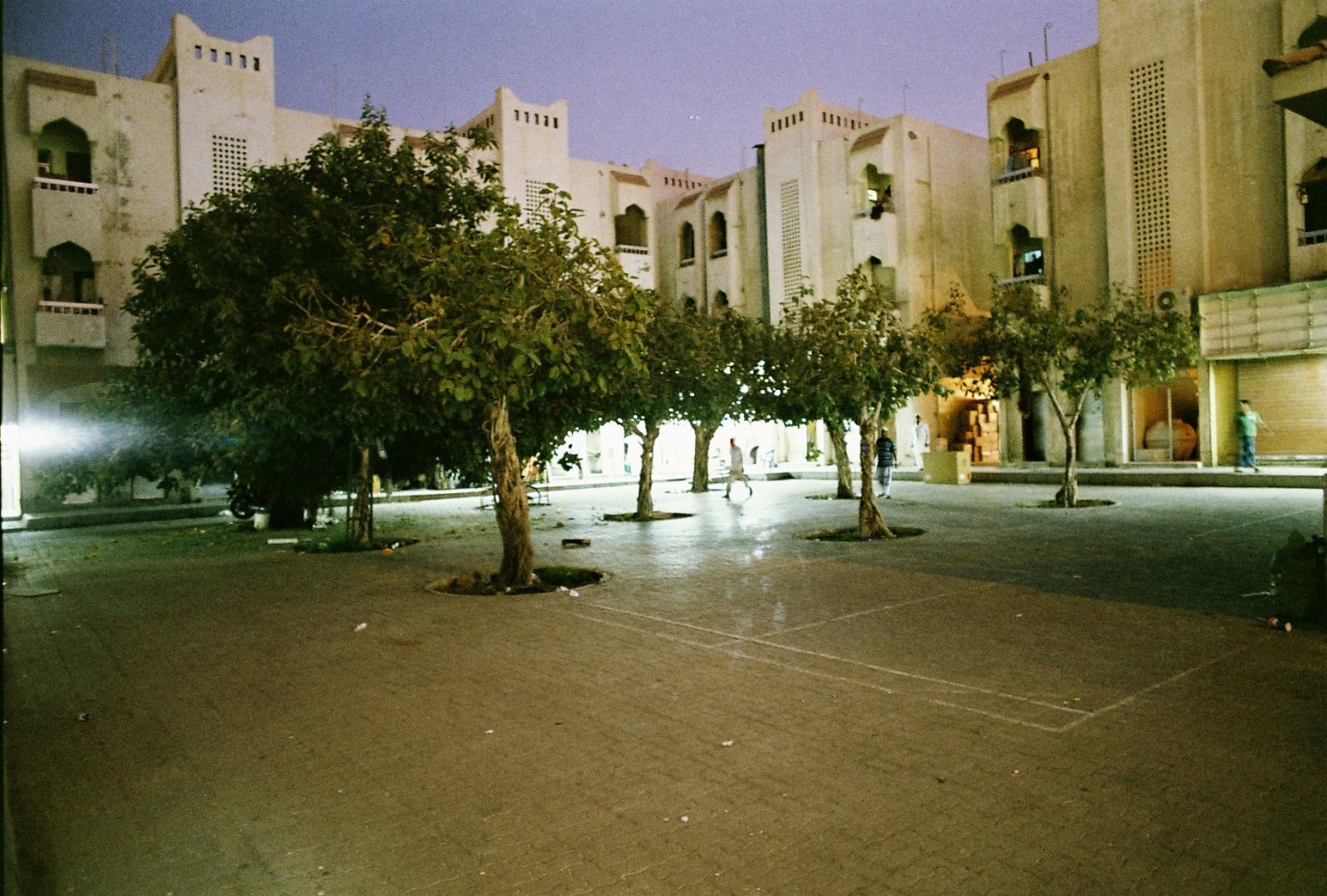 Yazan Khalili, Scouting for Locations, 2013