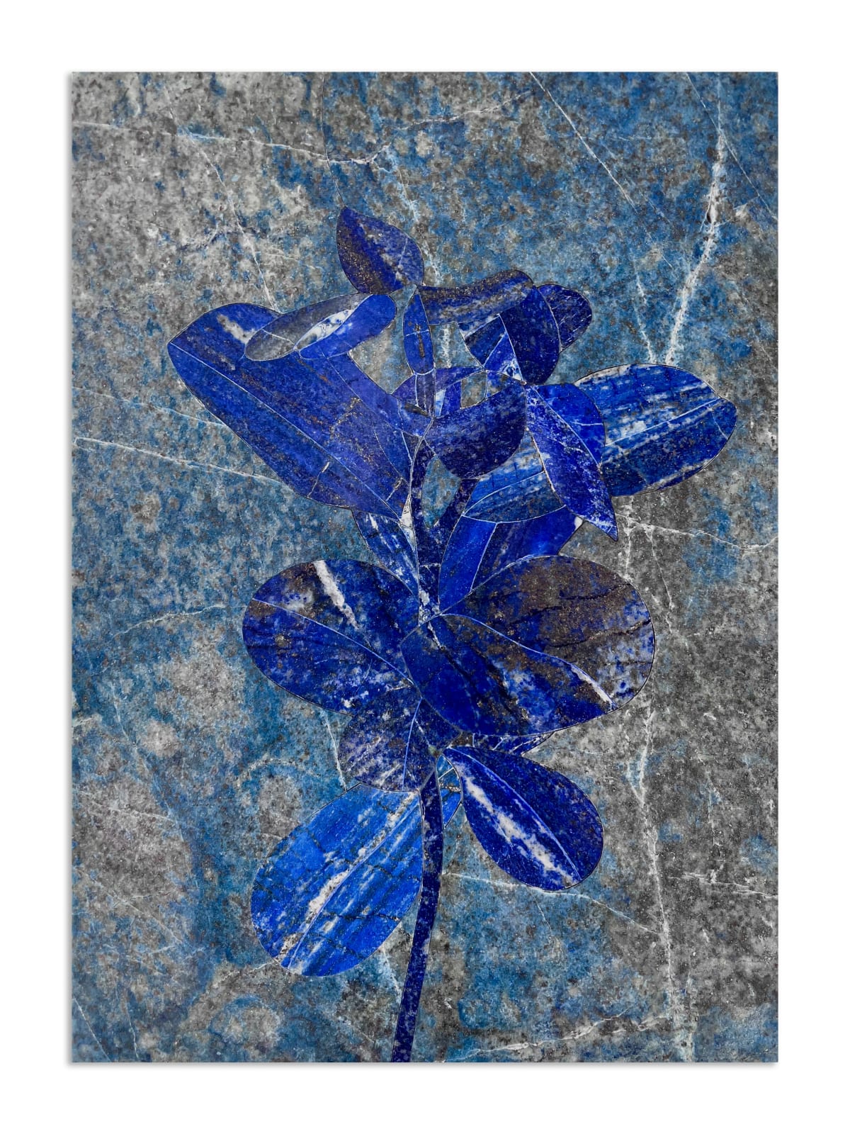 Hamra Abbas, Flower Studies 10, 2023