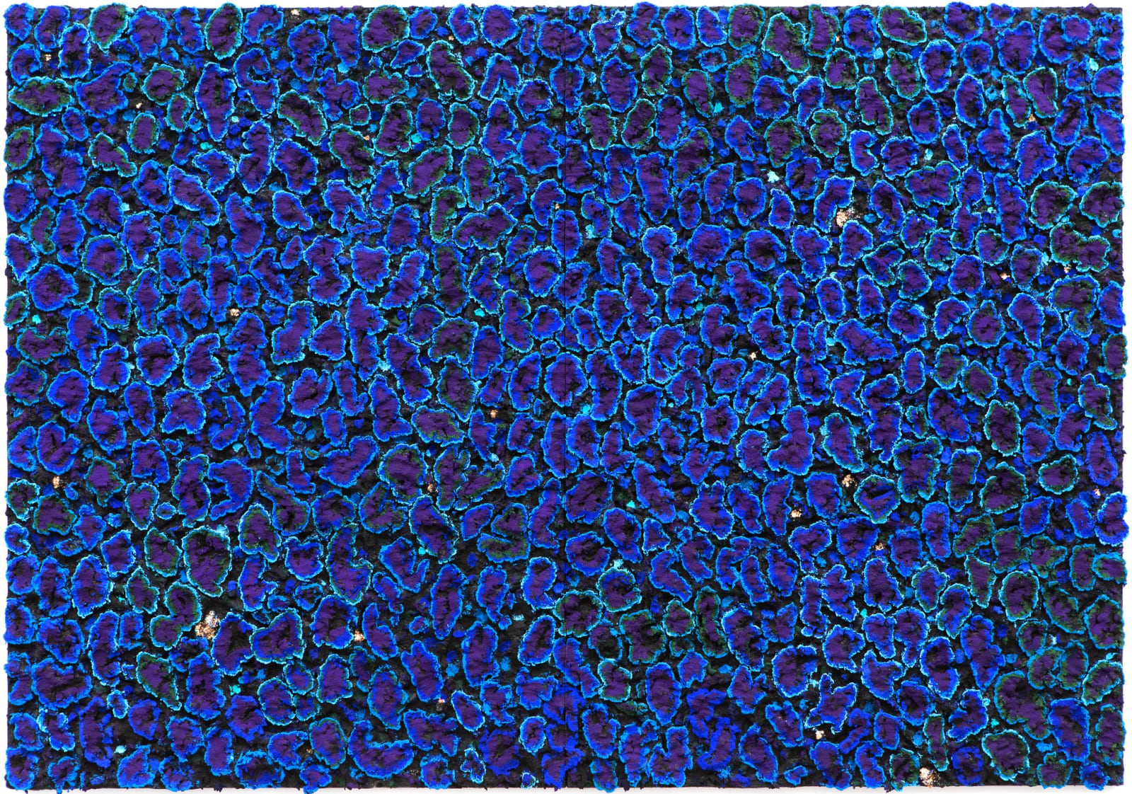 Nabil Nahas, Mashallah, 2013