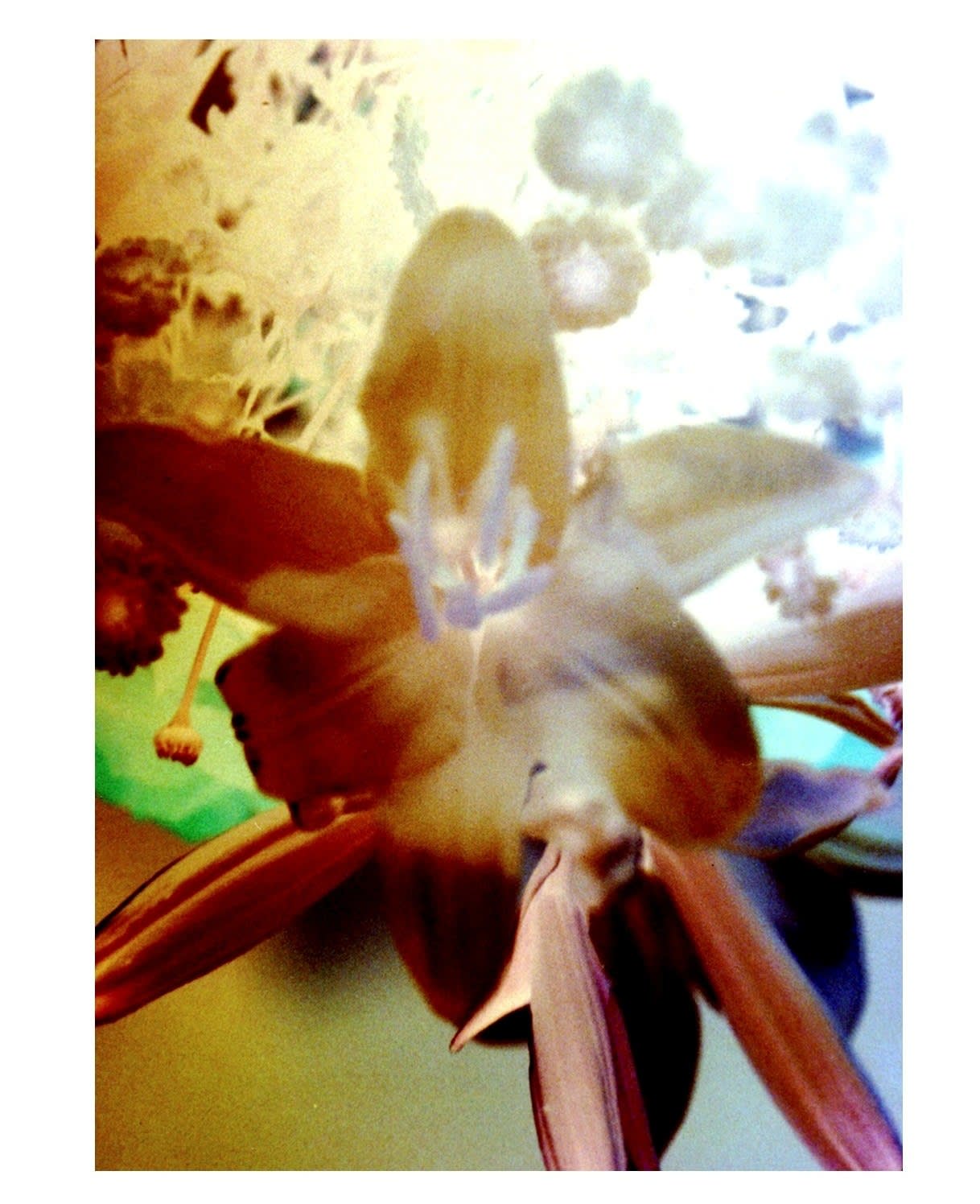 Setareh Shahbazi, Spectral Days #36, 2013