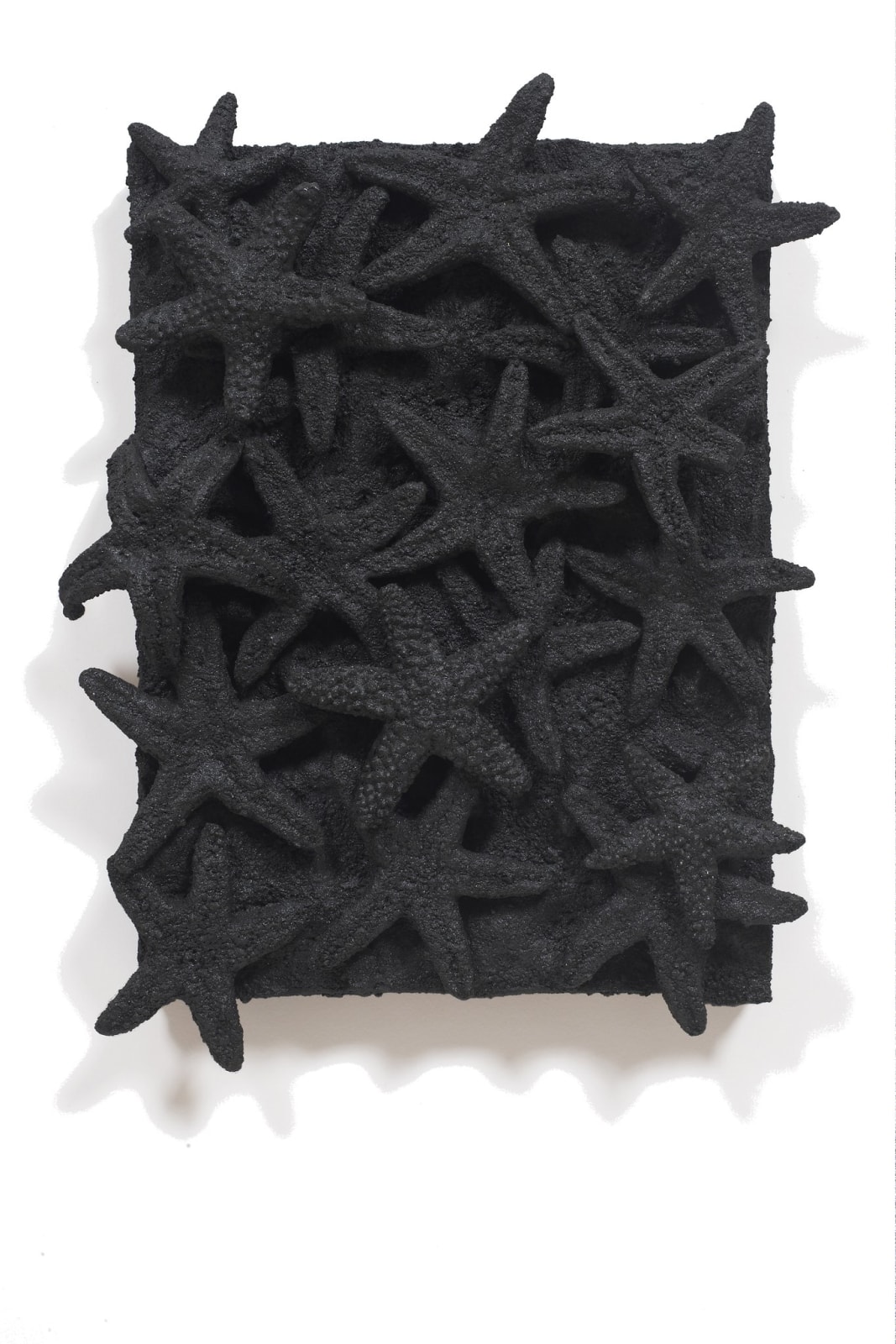 Nabil Nahas, Untitled, 2012