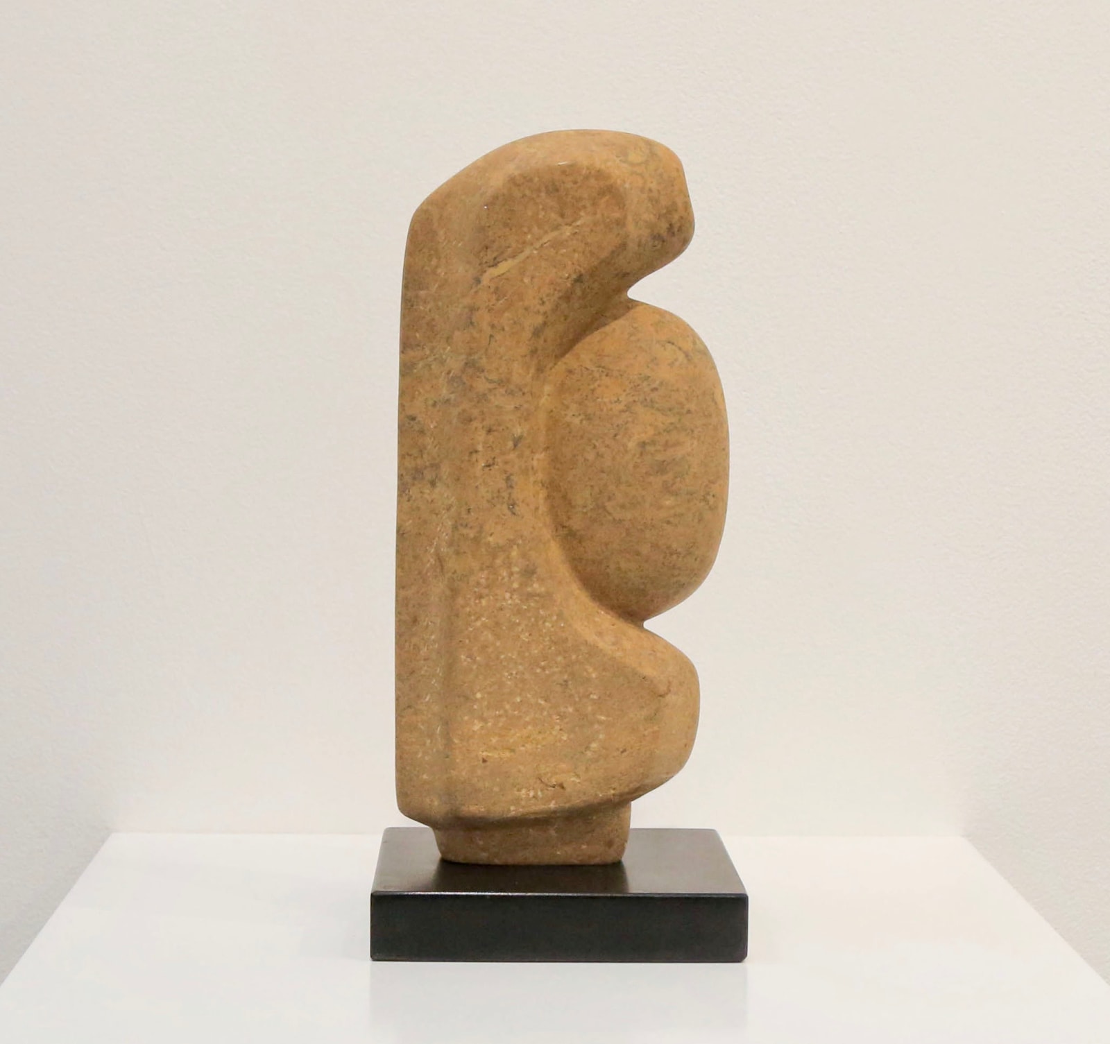 Mona Saudi, Mother Earth, 2006