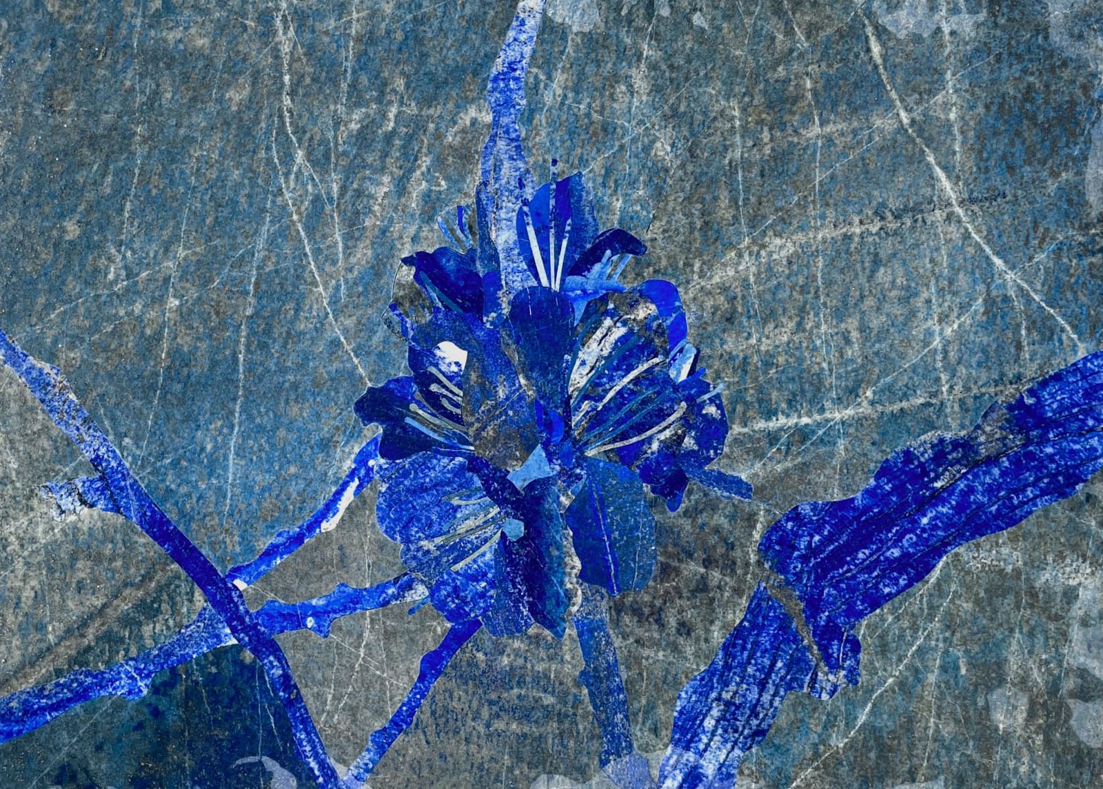 Hamra Abbas, Flower Studies 12, 2023