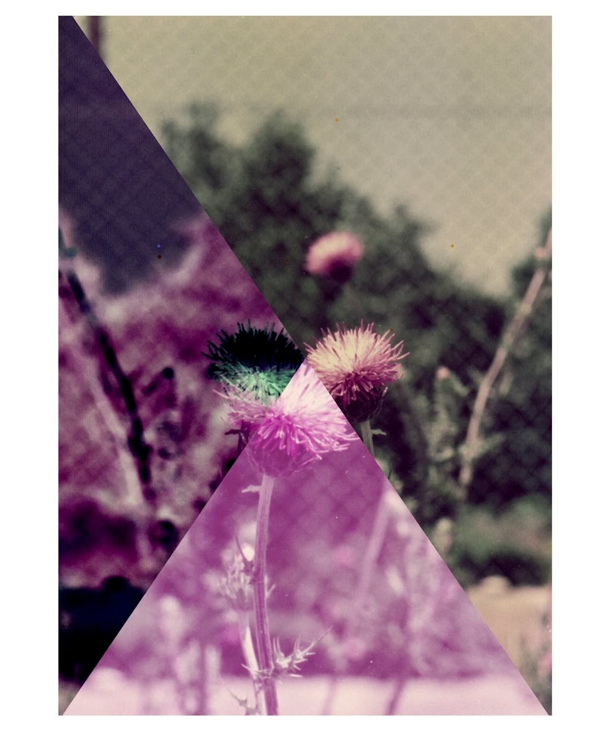 Setareh Shahbazi, Spectral Days #09, 2013