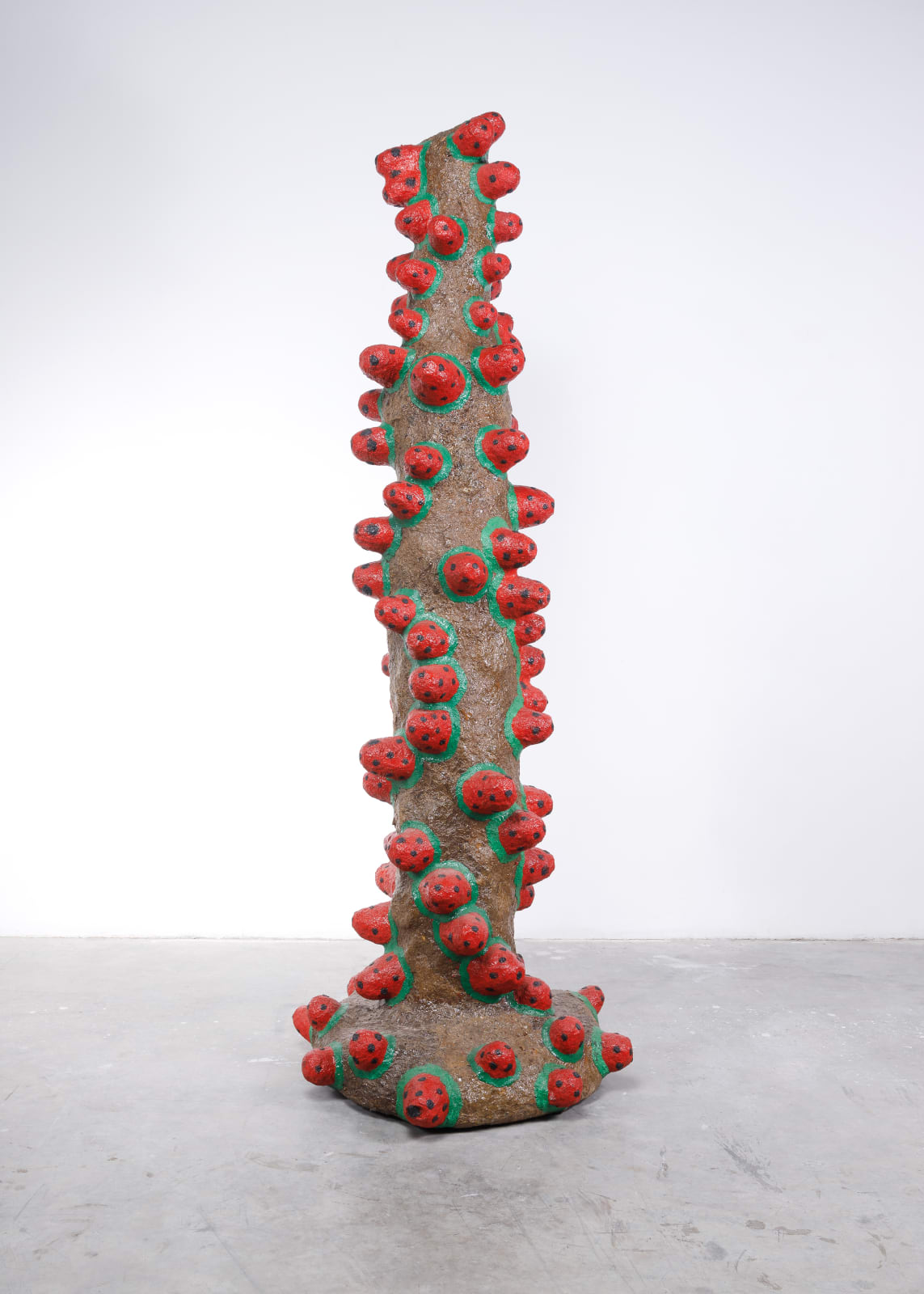 Mohamed Ahmed Ibrahim, Tomato Tree, 2013 TBC