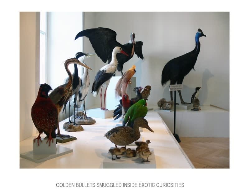 Basim Magdy, Every Subtle Gesture, 2012 - ongoing