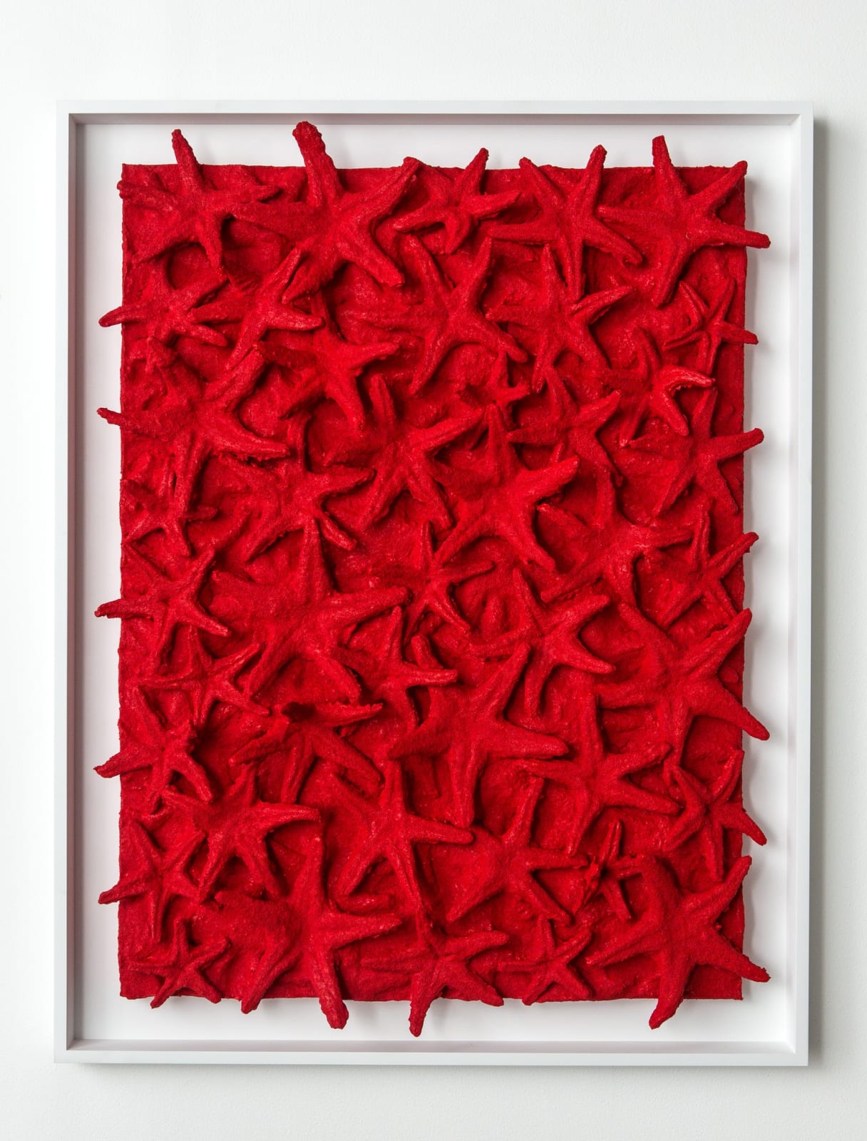 Nabil Nahas, Untitled (red star), 2014