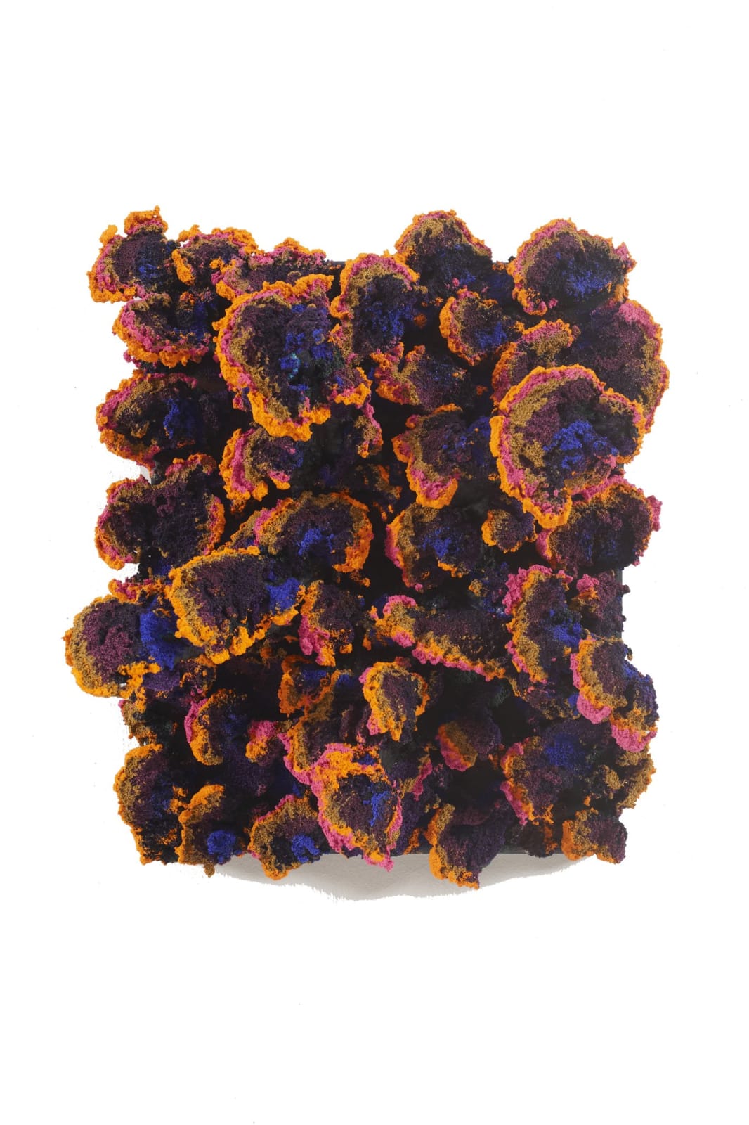 Nabil Nahas, Untitled, 2013