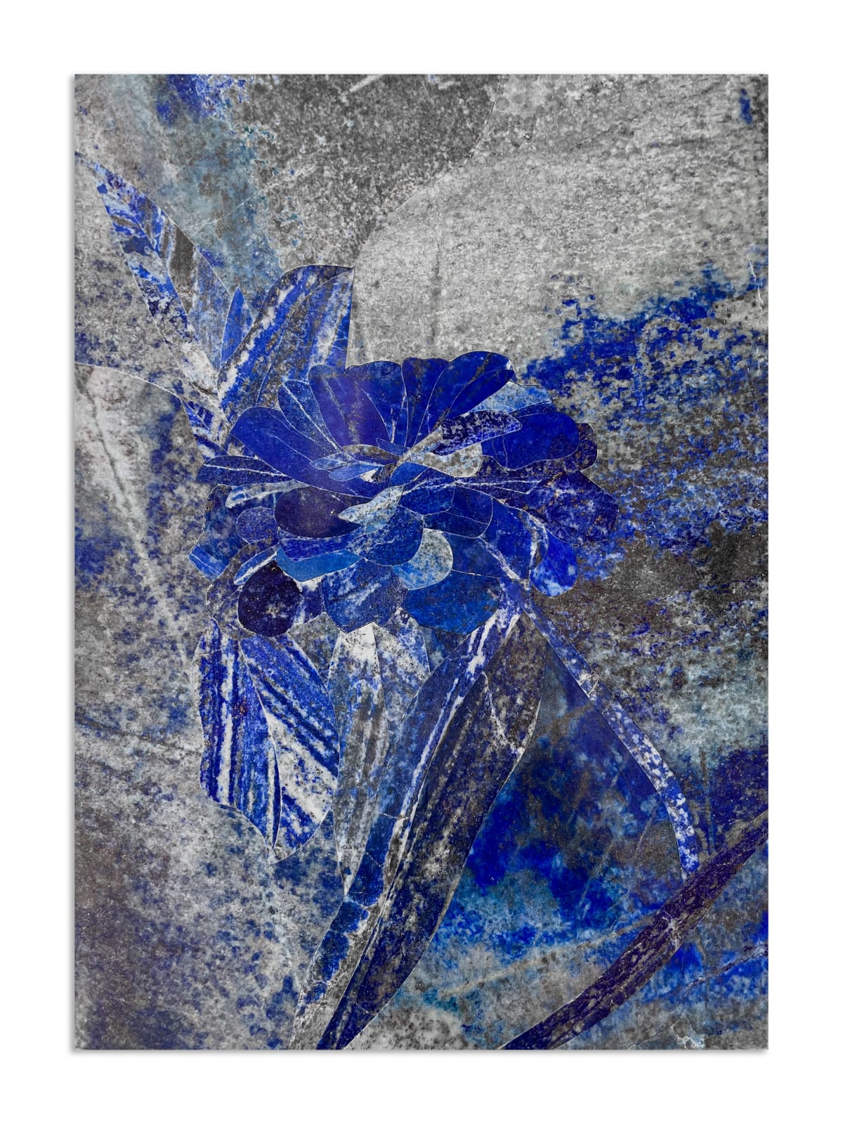 Hamra Abbas, Flower Studies 11, 2023