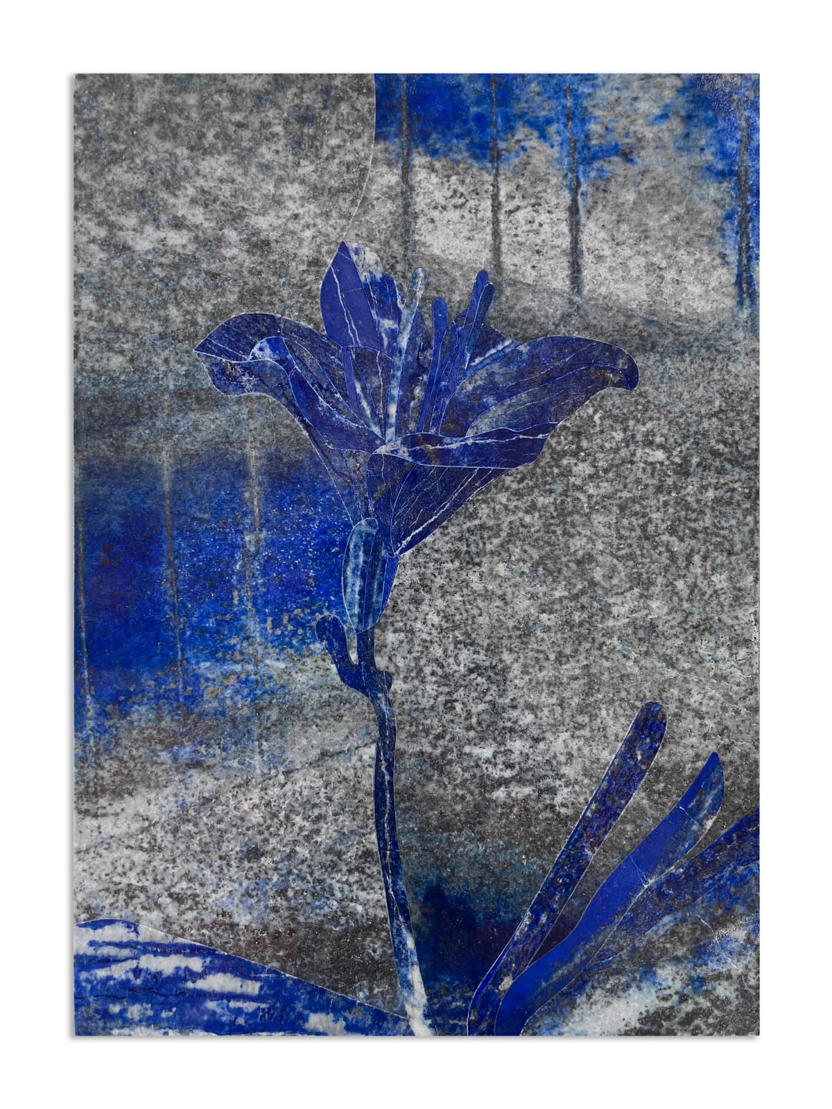 Hamra Abbas, Flower Studies 9, 2023