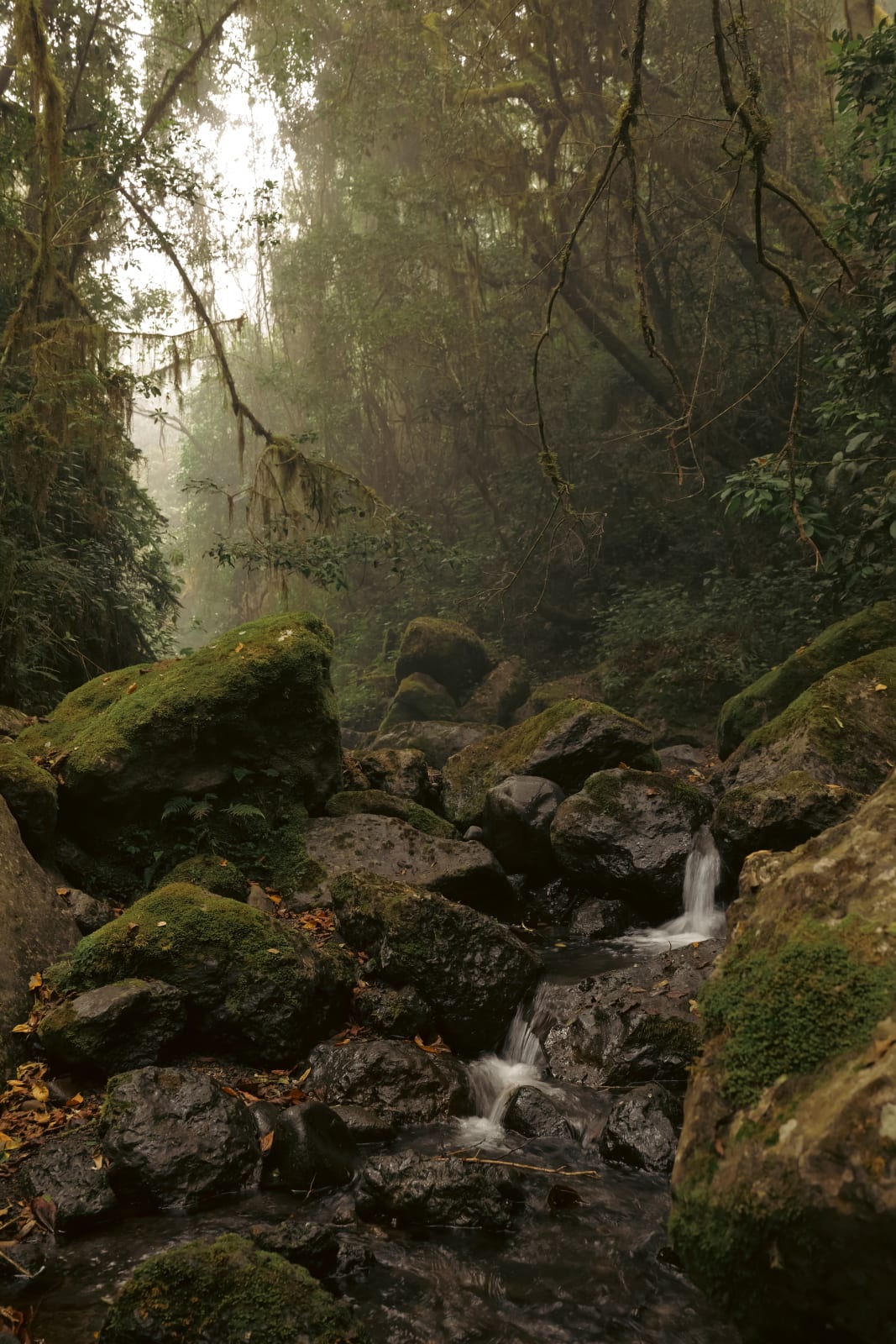 Omar Al Gurg, Everyman's Mountain: Lower Slopes – 002, 2021
