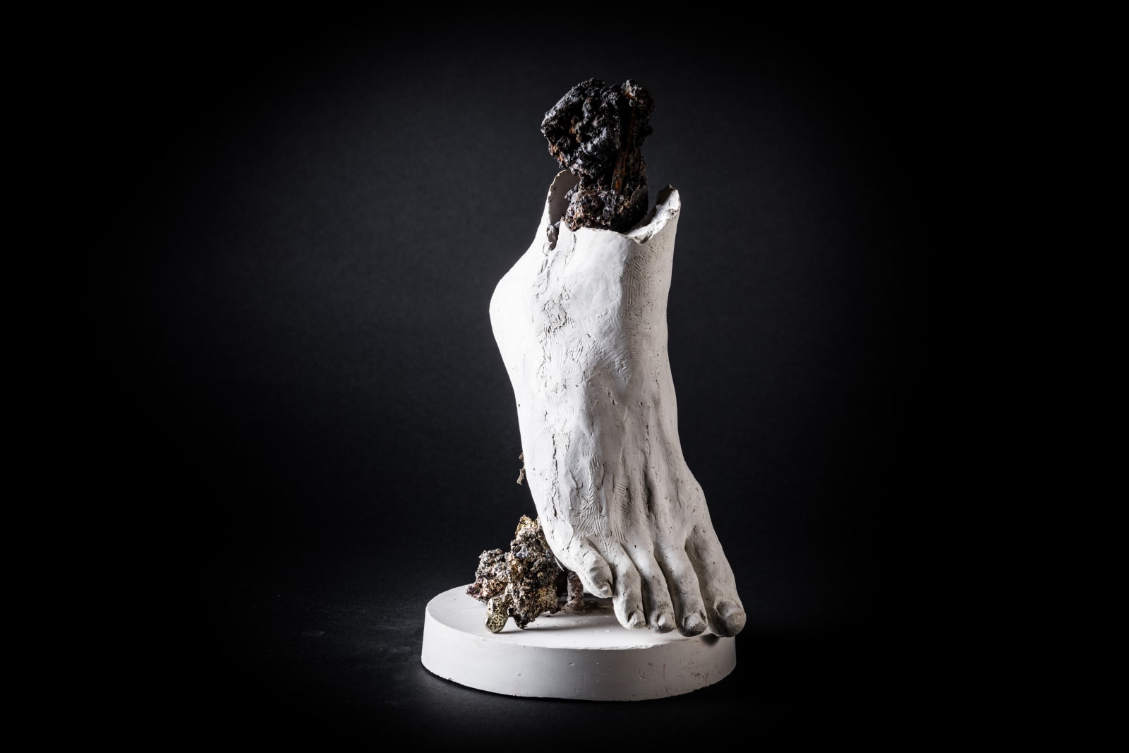 Valentina Lucarini Orejon, Piede (Foot), 2019