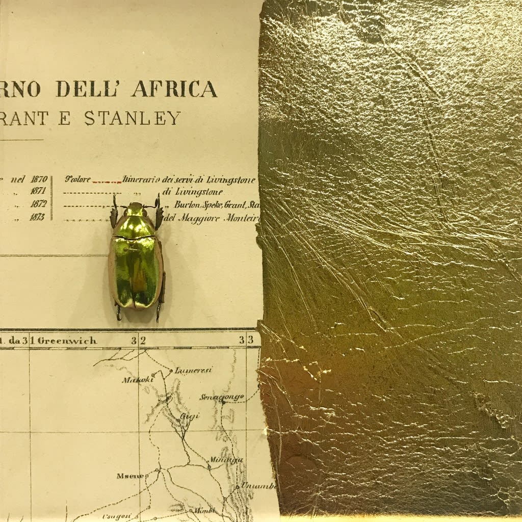 Alice Padovani, Dell'Africa, 2020