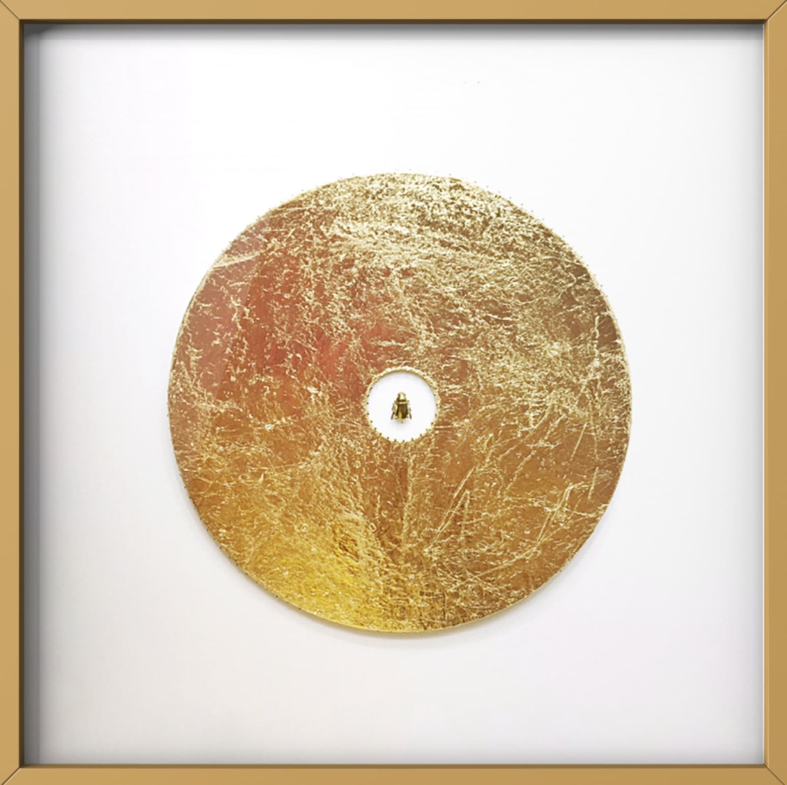 Alice Padovani, Aureus, 2019