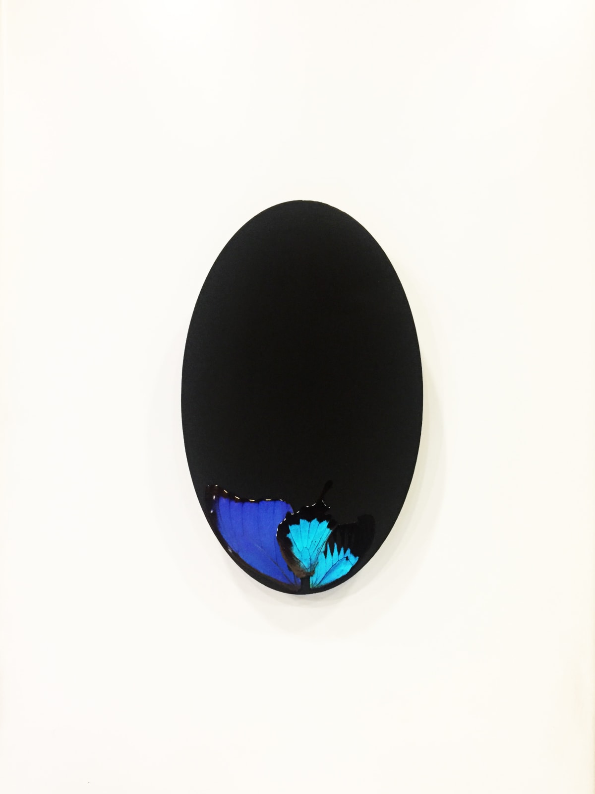 Alice Padovani, Feeling blue #2, 2020