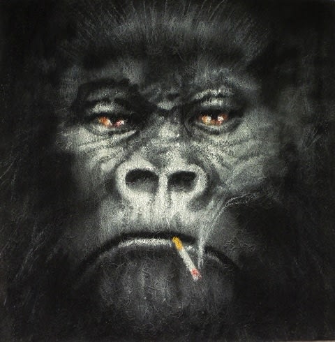 Maupal, Nico, 2015