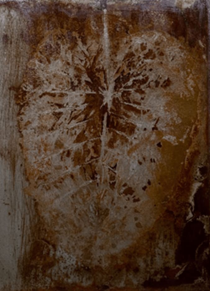 Gabriele Simei, Sottotevere , 2019
