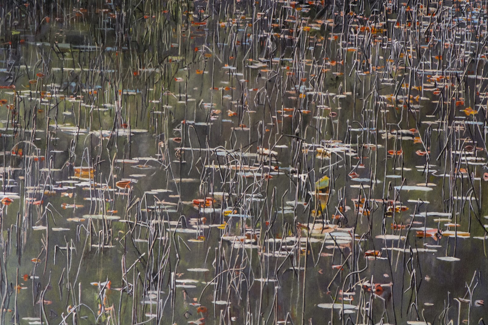Domenico Pasqua, Pond of Keoladeo, 2019