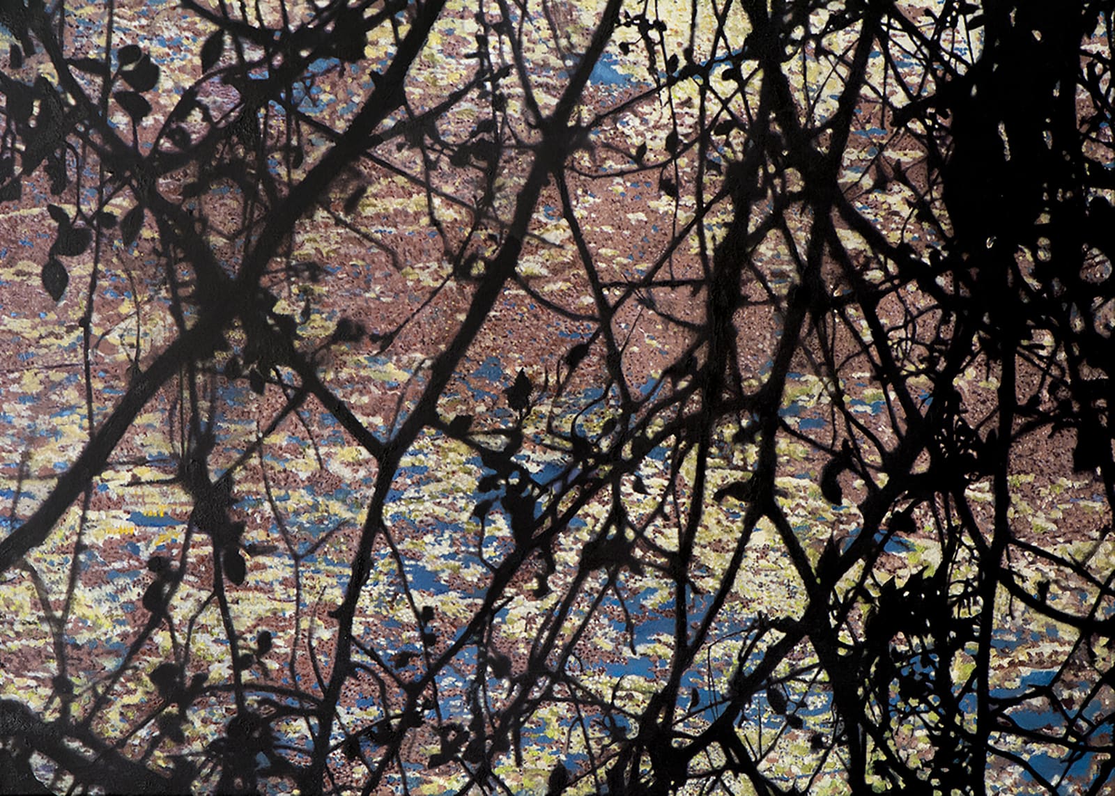 Domenico Pasqua, Still Water, 2019