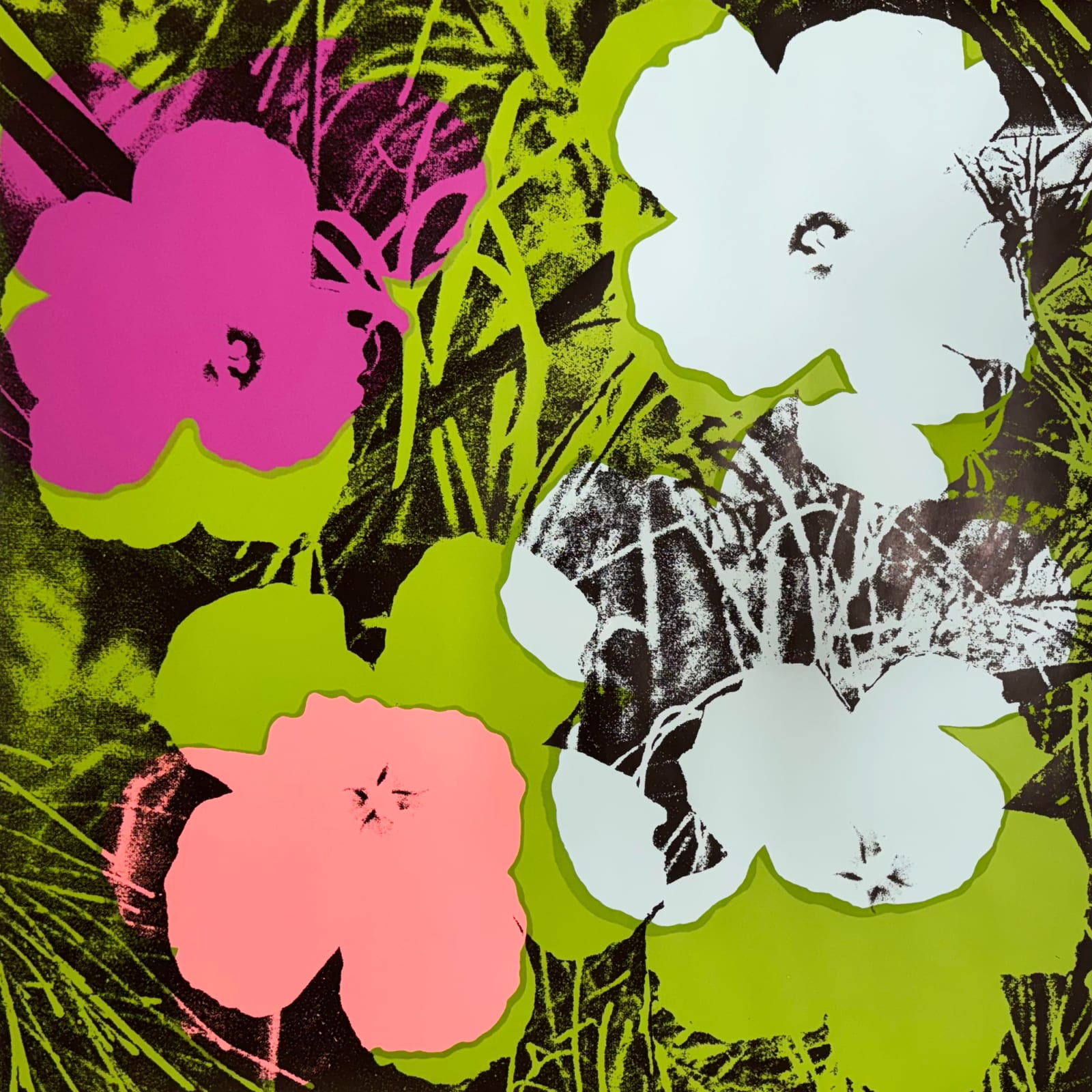 Andy Warhol, Flowers. II.64, 1970