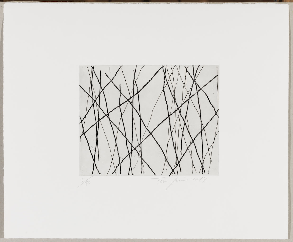 Tan Ping 譚平, Untitled 无题, 2014