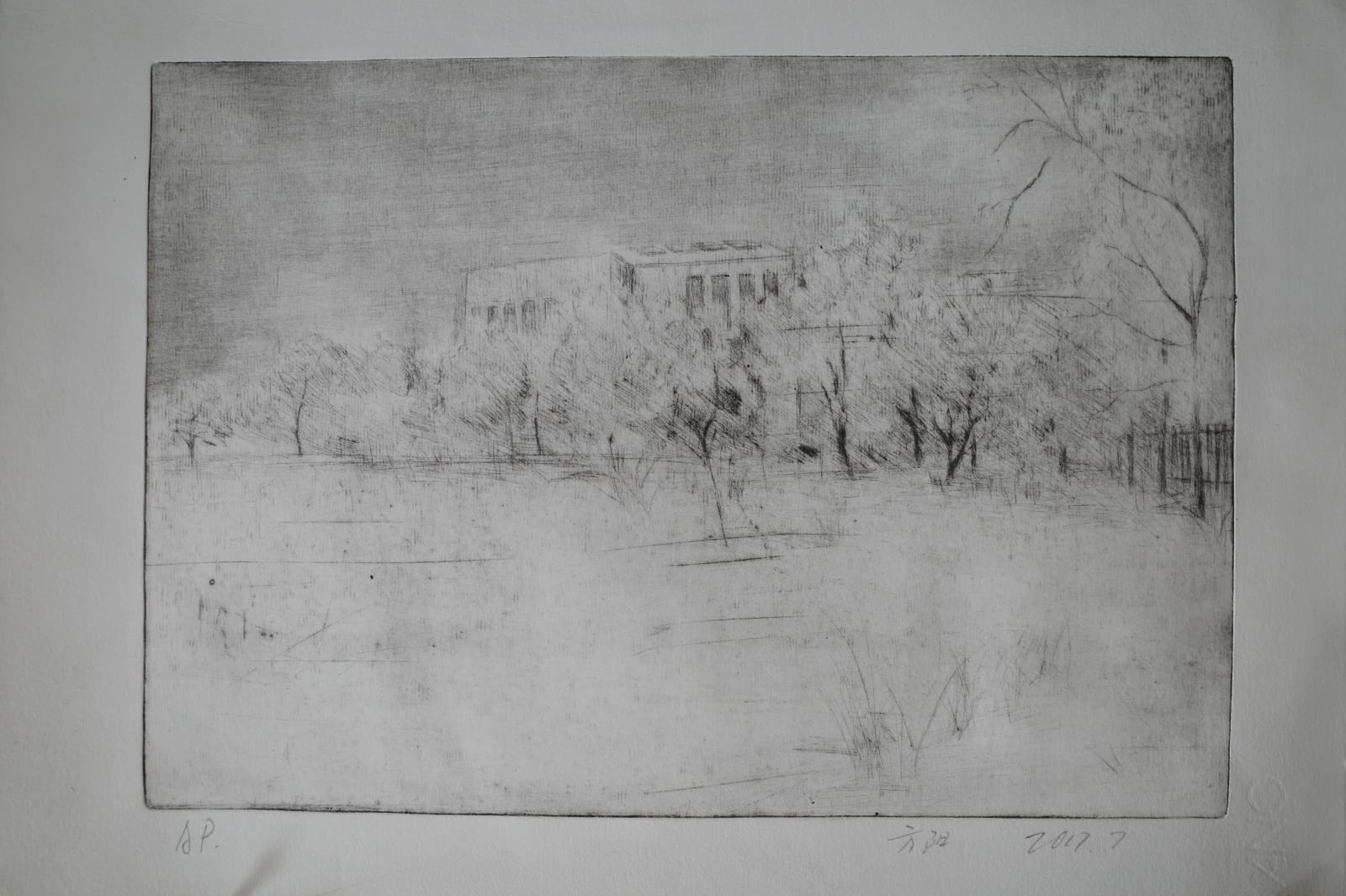 Fang Yang 方阳, Scenery 1 风景 1 , 2017