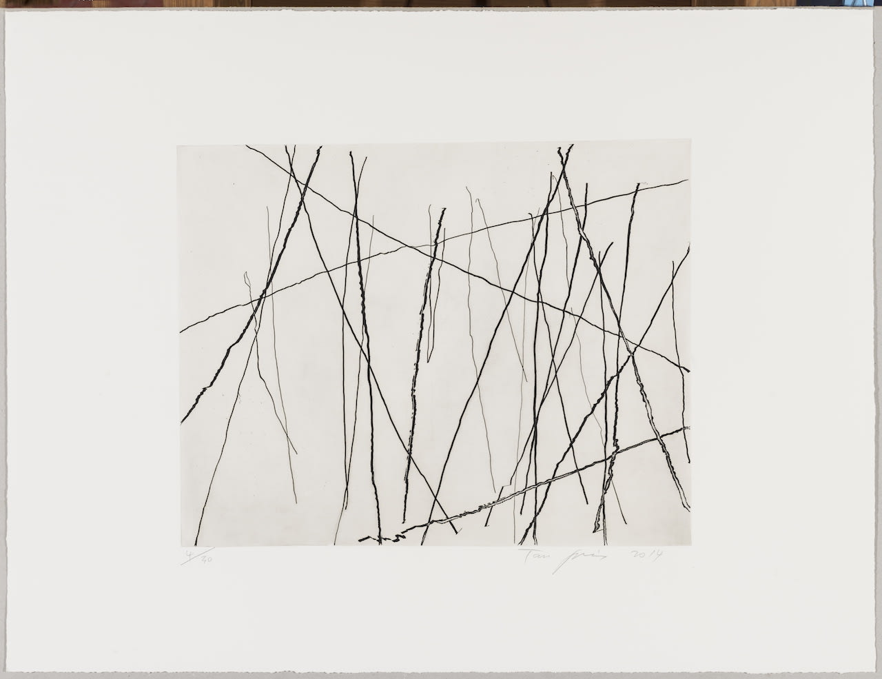 Tan Ping 譚平, Untitled 无题, 2014