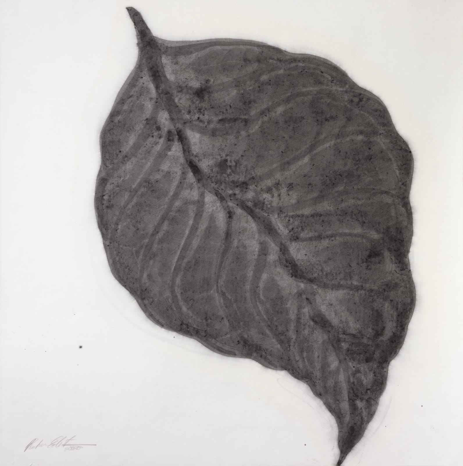 Barbara Edelstein 芭芭拉・愛德斯坦, Leaf in the Air (series) 空气中的叶 (系列), 2020