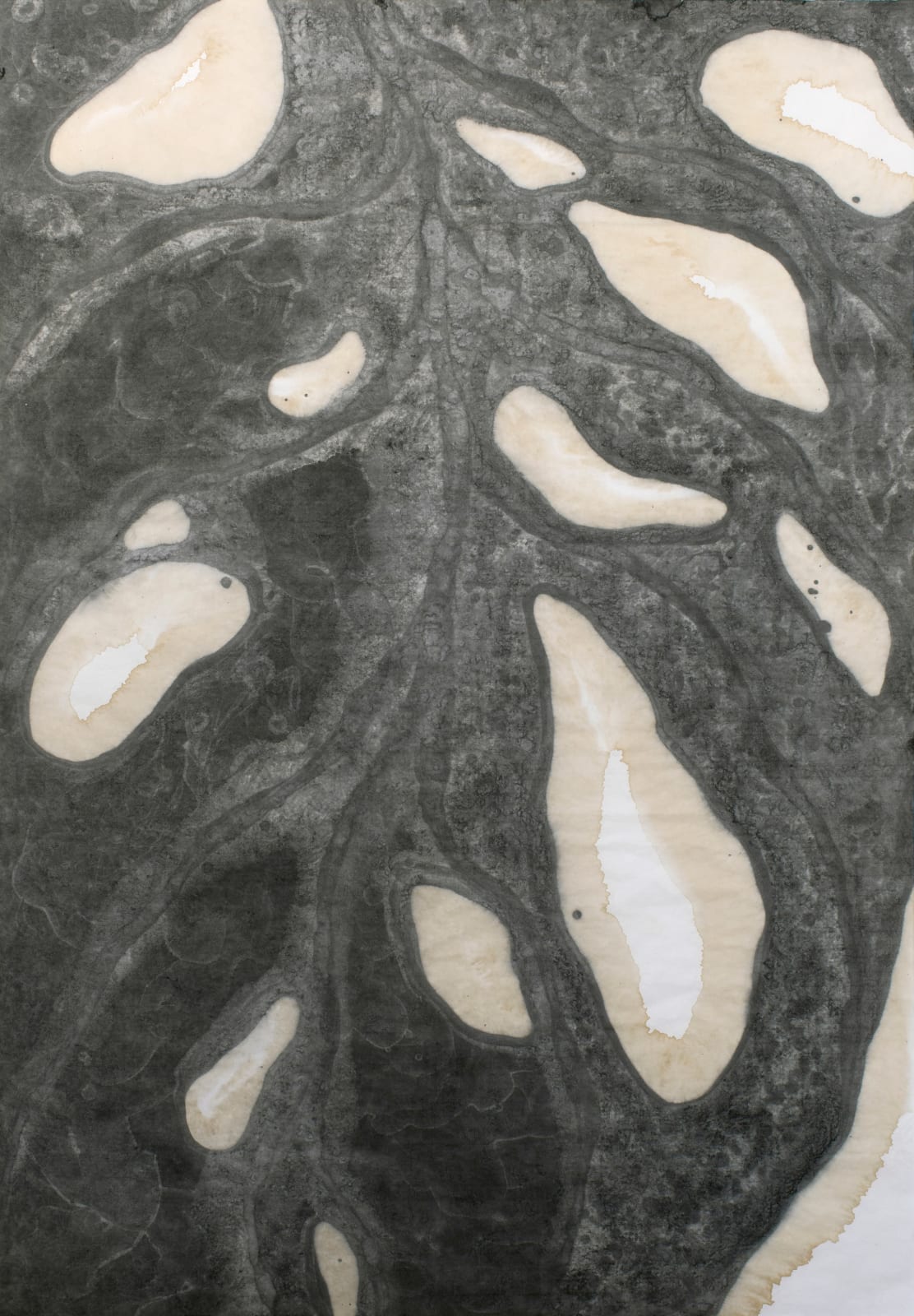Barbara Edelstein 芭芭拉・愛德斯坦, Leaf in the Air (series) 空气中的叶 (系列), 2022