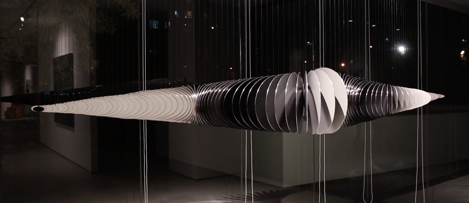 Tang Jie 湯杰, Centric Theory 中心说, 2018