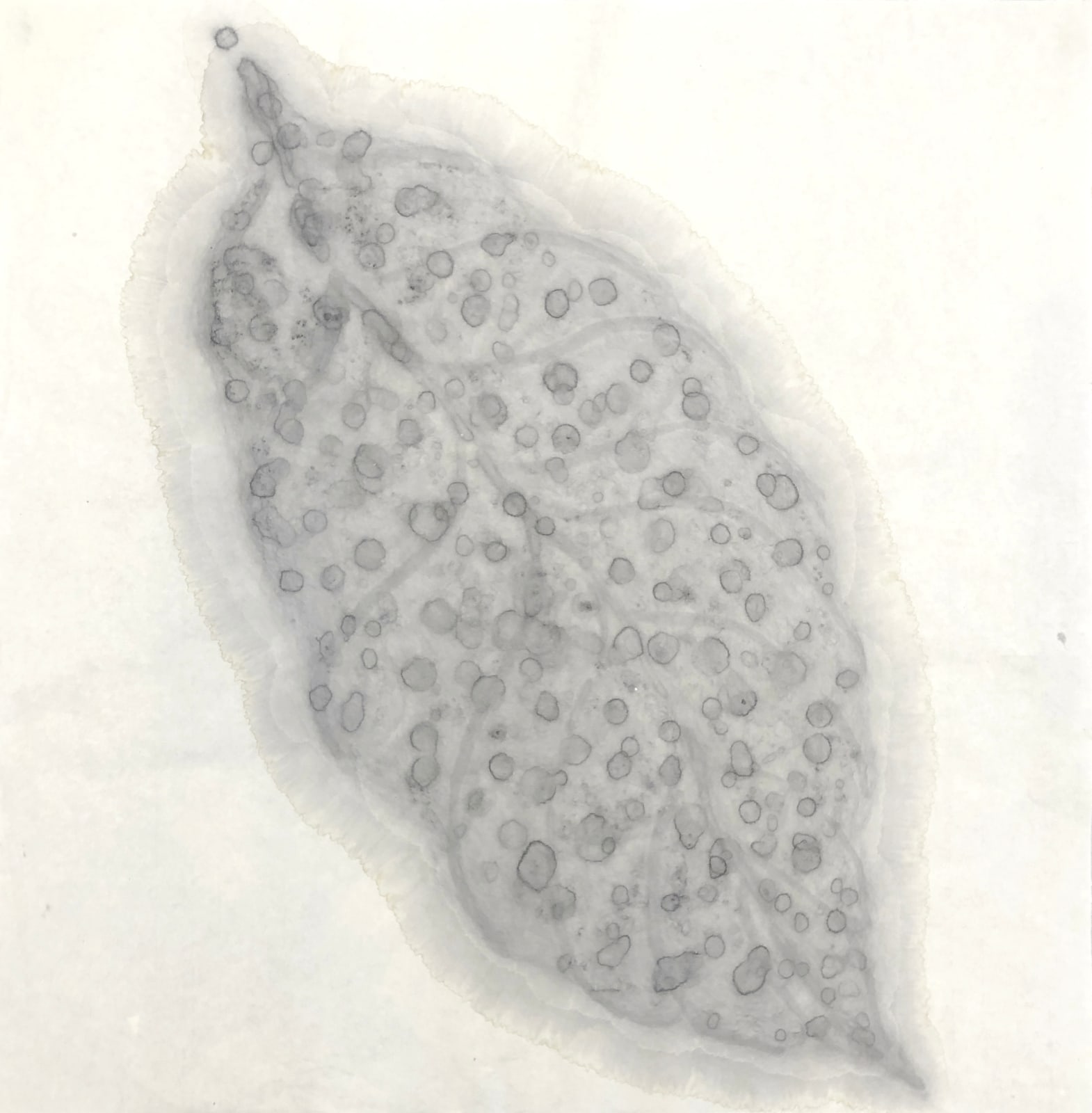 Barbara Edelstein 芭芭拉・愛德斯坦, Leaf in the Air (series) 空气中的叶 (系列), 2020