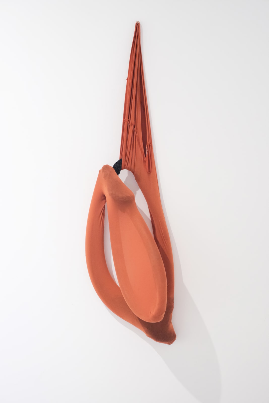 Olga Bläsi 奧爾加·布萊西, Seedling 幼苗, 2022