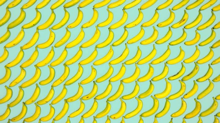 Han Jinpeng 韓金鵬, Andy’s Bananas, 2011